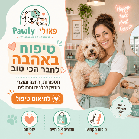 דוגמת מודעה