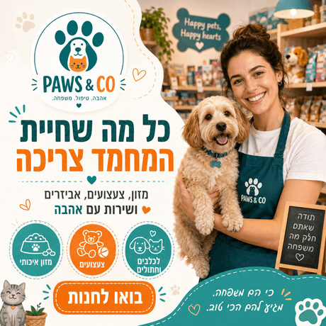 דוגמת מודעה